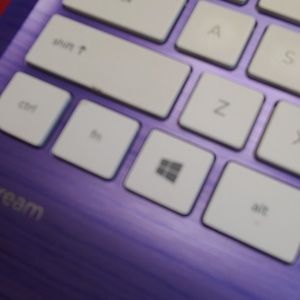 Meet your Posher, Shelby